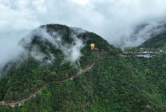 25年经营权争夺余波：观音山国家森林公